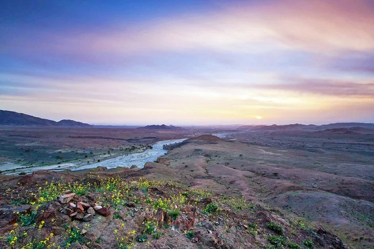 Bloom Dead Sea Sunset at the Feynan Nature Reserve