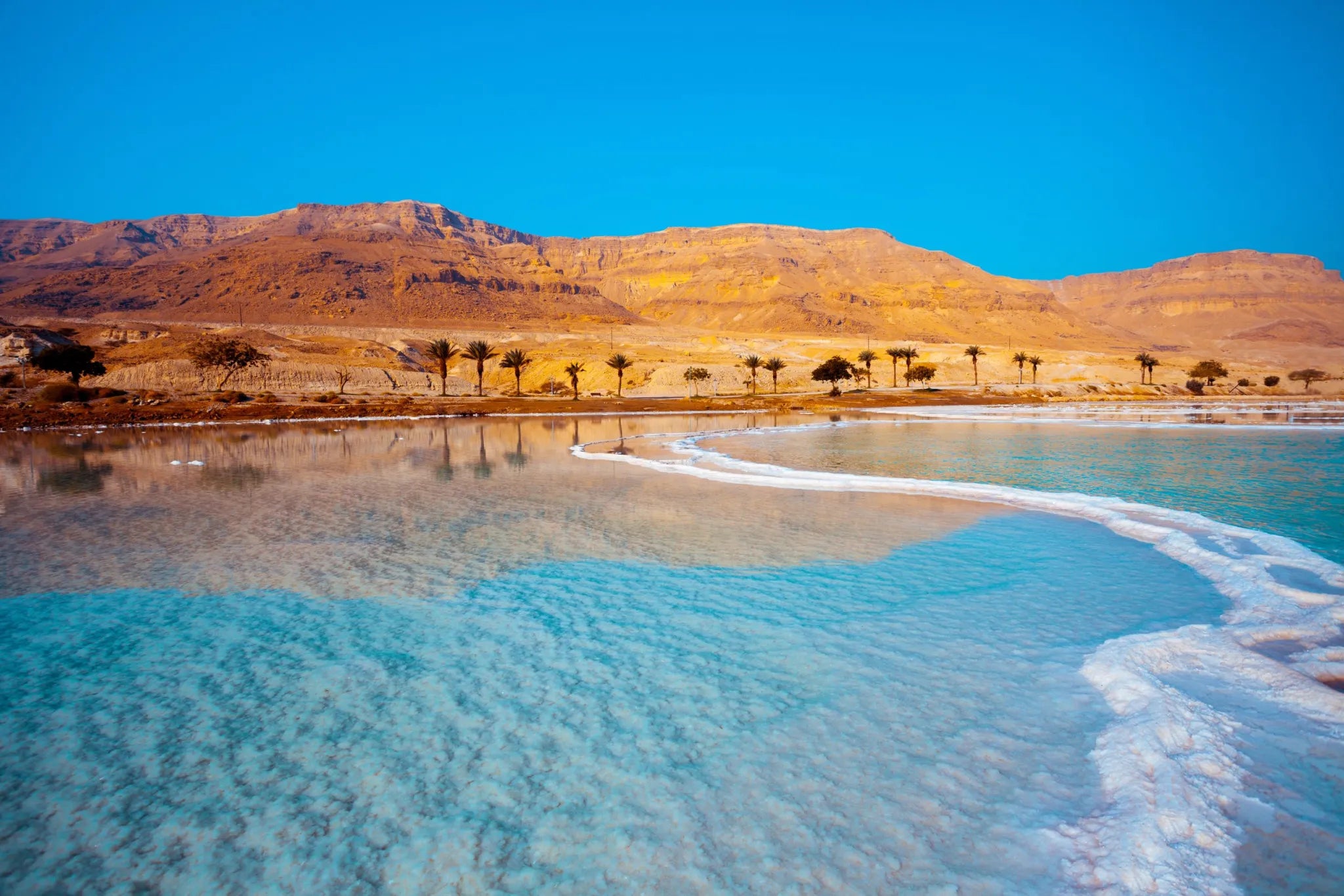 Bloom Dead Sea Beach